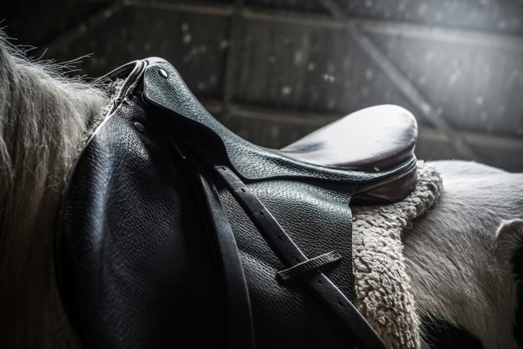 Reitsport im Gäu
