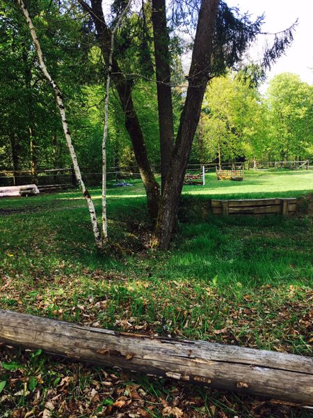 Springgarten