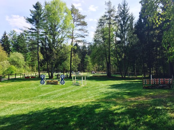 Springgarten