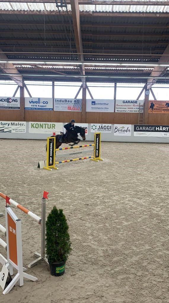 Hallenspringen 2023 – wir sagen Danke