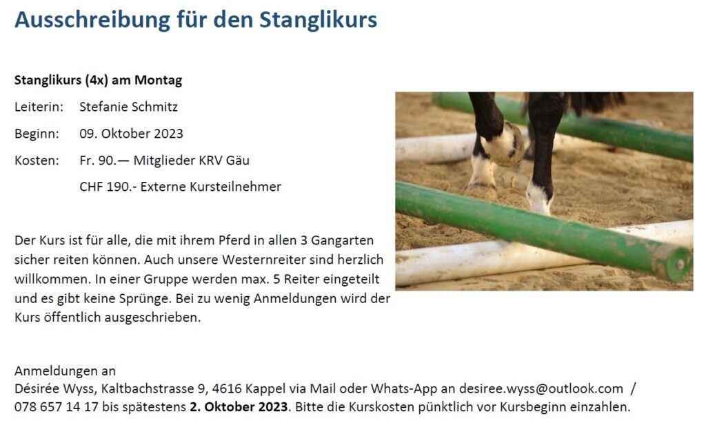 Stangelikurs mit Stefanie Schmitz