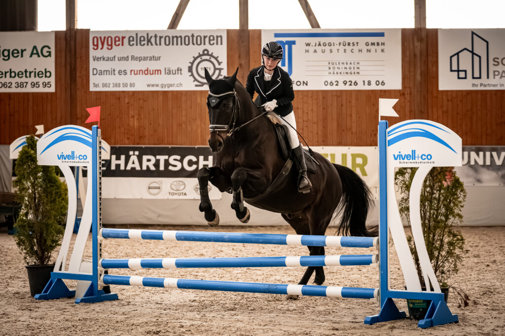 Hallenspringen KRV Gäu