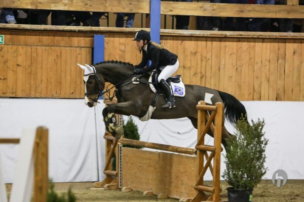 CS Härkingen 2013
